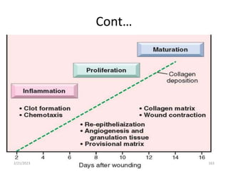 Cont…
2/21/2023 163
 
