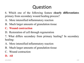 Question
6. Which one of the following feature clearly differentiates
primary from secondary wound healing process?
A. More intensified inflammatory reaction
B. Much larger amounts of granulation tissue
C. Wound contraction
D. Restoration of cell through regeneration
7. What differs secondary from primary healing? In secondary
healing:
A. More intensified inflammatory reaction
B. Much larger amounts of granulation tissue
C. Wound contraction
D. All
2/21/2023 172
 