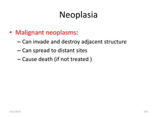 Neoplasia
• Malignant neoplasms:
– Can invade and destroy adjacent structure
– Can spread to distant sites
– Cause death (if not treated )
2/21/2023 193
 
