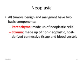 Neoplasia
• All tumors benign and malignant have two
basic components:
–Parenchyma: made up of neoplastic cells
–Stroma: made up of non-neoplastic, host-
derived connective tissue and blood vessels
2/21/2023 194
 
