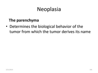 Neoplasia
The parenchyma
• Determines the biological behavior of the
tumor from which the tumor derives its name
2/21/2023 195
 