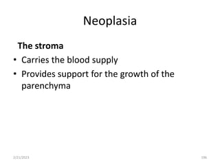 Neoplasia
The stroma
• Carries the blood supply
• Provides support for the growth of the
parenchyma
2/21/2023 196
 