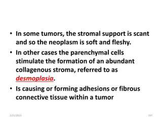 • In some tumors, the stromal support is scant
and so the neoplasm is soft and fleshy.
• In other cases the parenchymal cells
stimulate the formation of an abundant
collagenous stroma, referred to as
desmoplasia.
• Is causing or forming adhesions or fibrous
connective tissue within a tumor
2/21/2023 197
 