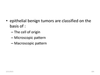 • epithelial benign tumors are classified on the
basis of :
– The cell of origin
– Microscopic pattern
– Macroscopic pattern
2/21/2023 204
 