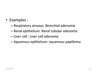 • Examples :
– Respiratory airways: Bronchial adenoma
– Renal epithelium: Renal tubular adenoma
– Liver cell : Liver cell adenoma
– Squamous epithelium: squamous papilloma
2/21/2023 211
 