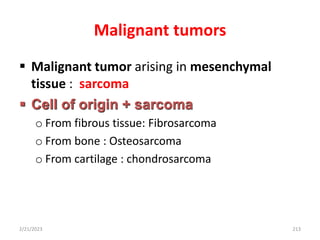 Malignant tumors
 Malignant tumor arising in mesenchymal
tissue : sarcoma
 Cell of origin + sarcoma
o From fibrous tissue: Fibrosarcoma
o From bone : Osteosarcoma
o From cartilage : chondrosarcoma
2/21/2023 213
 