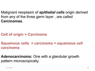 Malignant neoplasm of epithelial cells origin derived
from any of the three germ layer , are called
Carcinomas.
Cell of origin + Carcinoma
Squamous cells + carcinoma = squamous cell
carcinoma
Adenocarcinoma: One with a glandular growth
pattern microscopically.
2/21/2023 215
 
