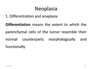 Neoplasia
1. Differentiation and anaplasia
Differentiation means the extent to which the
parenchymal cells of the tumor resemble their
normal counterparts morphologically and
functionally
2/21/2023 229
 