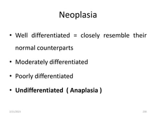Neoplasia
• Well differentiated = closely resemble their
normal counterparts
• Moderately differentiated
• Poorly differentiated
• Undifferentiated ( Anaplasia )
2/21/2023 230
 