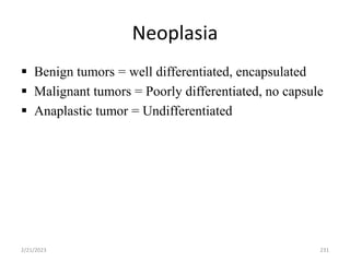 Neoplasia
 Benign tumors = well differentiated, encapsulated
 Malignant tumors = Poorly differentiated, no capsule
 Anaplastic tumor = Undifferentiated
2/21/2023 231
 