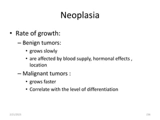 Neoplasia
• Rate of growth:
– Benign tumors:
• grows slowly
• are affected by blood supply, hormonal effects ,
location
– Malignant tumors :
• grows faster
• Correlate with the level of differentiation
2/21/2023 236
 
