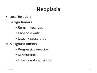 Neoplasia
 Local invasion
o Benign tumors
• Remain localized
• Cannot invade
• Usually capsulated
o Malignant tumors
• Progressive invasion
• Destruction
• Usually not capsulated
2/21/2023 238
 