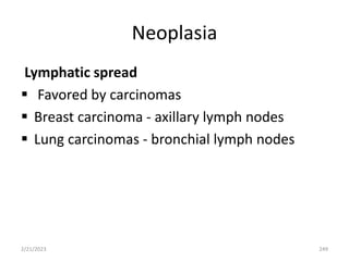 Neoplasia
Lymphatic spread
 Favored by carcinomas
 Breast carcinoma - axillary lymph nodes
 Lung carcinomas - bronchial lymph nodes
2/21/2023 249
 