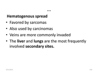 …
Hematogenous spread
• Favored by sarcomas
• Also used by carcinomas
• Veins are more commonly invaded
• The liver and lungs are the most frequently
involved secondary sites.
2/21/2023 250
 
