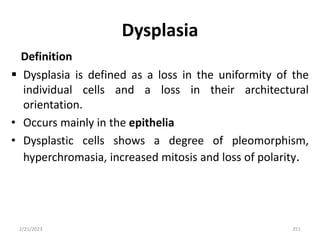 Dysplasia
Definition
 Dysplasia is defined as a loss in the uniformity of the
individual cells and a loss in their architectural
orientation.
• Occurs mainly in the epithelia
• Dysplastic cells shows a degree of pleomorphism,
hyperchromasia, increased mitosis and loss of polarity.
2/21/2023 251
 
