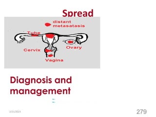 Spread
2/21/2023
279
 