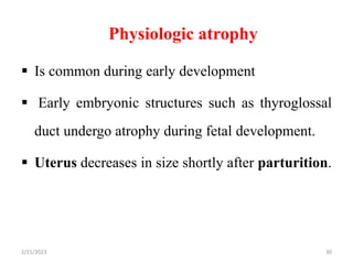Physiologic atrophy
 Is common during early development
 Early embryonic structures such as thyroglossal
duct undergo atrophy during fetal development.
 Uterus decreases in size shortly after parturition.
2/21/2023 30
 