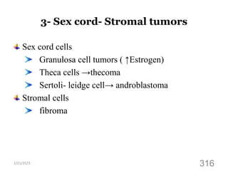 3- Sex cord- Stromal tumors
Sex cord cells
Granulosa cell tumors ( ↑Estrogen)
Theca cells →thecoma
Sertoli- leidge cell→ androblastoma
Stromal cells
fibroma
2/21/2023
316
 