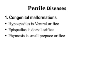 Penile Diseases
1. Congenital malformations
 Hypospadias is Ventral orifice
 Epispadias is dorsal orifice
 Phymosis is small prepuce orifice
 
