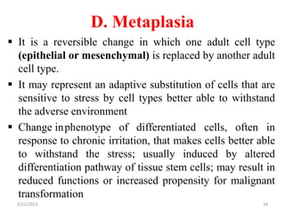 D. Metaplasia
 It is a reversible change in which one adult cell type
(epithelial or mesenchymal) is replaced by another adult
cell type.
 It may represent an adaptive substitution of cells that are
sensitive to stress by cell types better able to withstand
the adverse environment
 Change inphenotype of differentiated cells, often in
response to chronic irritation, that makes cells better able
to withstand the stress; usually induced by altered
differentiation pathway of tissue stem cells; may result in
reduced functions or increased propensity for malignant
transformation
2/21/2023 34
 