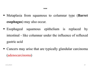 …
 Metaplasia from squamous to columnar type (Barret
esophagus) may also occur.
 Esophageal squamous epithelium is replaced by
intestinal - like columnar under the influence of refluxed
gastric acid
 Cancers may arise that are typically glandular carcinoma
(adenocarcinoma)
2/21/2023 37
 