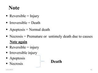 Note
 Reversible = Injury
 Irreversible = Death
 Apoptosis = Normal death
 Necrosis = Premature or untimely death due to causes
Note again
 Reversible = injury
 Irreversible injury
 Apoptosis
 Necrosis
Death
2/21/2023 41
 