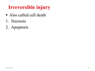 Irreversible injury
 Also called cell death
1. Necrosis
2. Apoptosis
2/21/2023 50
 