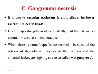 C. Gangrenous necrosis
 It is due to vascular occlusion & most affects the lower
extremities & the bowel.
 Is not a specific pattern of cell death, but the term is
commonly used in clinical practice.
 When there is more Liquefactive necrosis because of the
actions of degradative enzymes in the bacteria and the
attracted leukocytes (giving rise to so called wet gangrene).
2/21/2023 62
 