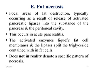 E. Fat necrosis
 Focal areas of fat destruction, typically
occurring as a result of release of activated
pancreatic lipases into the substance of the
pancreas & the peritoneal cavity.
 This occurs in acute pancreatitis.
 The activated enzymes liquefy fat cell
membranes & the lipases split the triglyceride
contained with in fat cells.
 Does not in reality denote a specific pattern of
necrosis.
2/21/2023 67
 