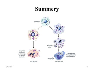 Summery
2/21/2023 81
 