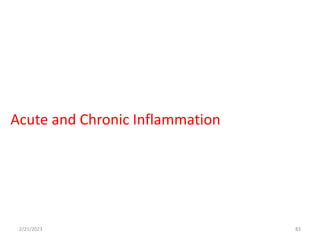 Acute and Chronic Inflammation
2/21/2023 83
 