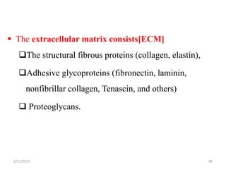  The extracellular matrix consists[ECM]
The structural fibrous proteins (collagen, elastin),
Adhesive glycoproteins (fibronectin, laminin,
nonfibrillar collagen, Tenascin, and others)
 Proteoglycans.
2/21/2023 89
 