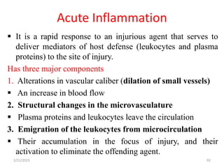 Acute Inflammation
92
 It is a rapid response to an injurious agent that serves to
deliver mediators of host defense (leukocytes and plasma
proteins) to the site of injury.
Has three major components
1. Alterations in vascular caliber (dilation of small vessels)
 An increase in blood flow
2. Structural changes in the microvasculature
 Plasma proteins and leukocytes leave the circulation
3. Emigration of the leukocytes from microcirculation
 Their accumulation in the focus of injury, and their
activation to eliminate the offending agent.
2/21/2023
 