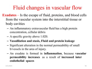 Fluid changes in vascular flow
93
Exudates – Is the escape of fluid, proteins, and blood cells
from the vascular system into the interstitial tissue or
body cavities
– An inflammatory extravascular fluid has a high protein
concentration, cellular debris
– A specific gravity above 1.020.
– Vasodilation and stasis, Fluid and protein leakage
– Significant alteration in the normal permeability of small
b/vessels in the area of injury.
– An exudate is formed in inflammation, because vascular
permeability increases as a result of increased inter
endothelial spaces
2/21/2023
 