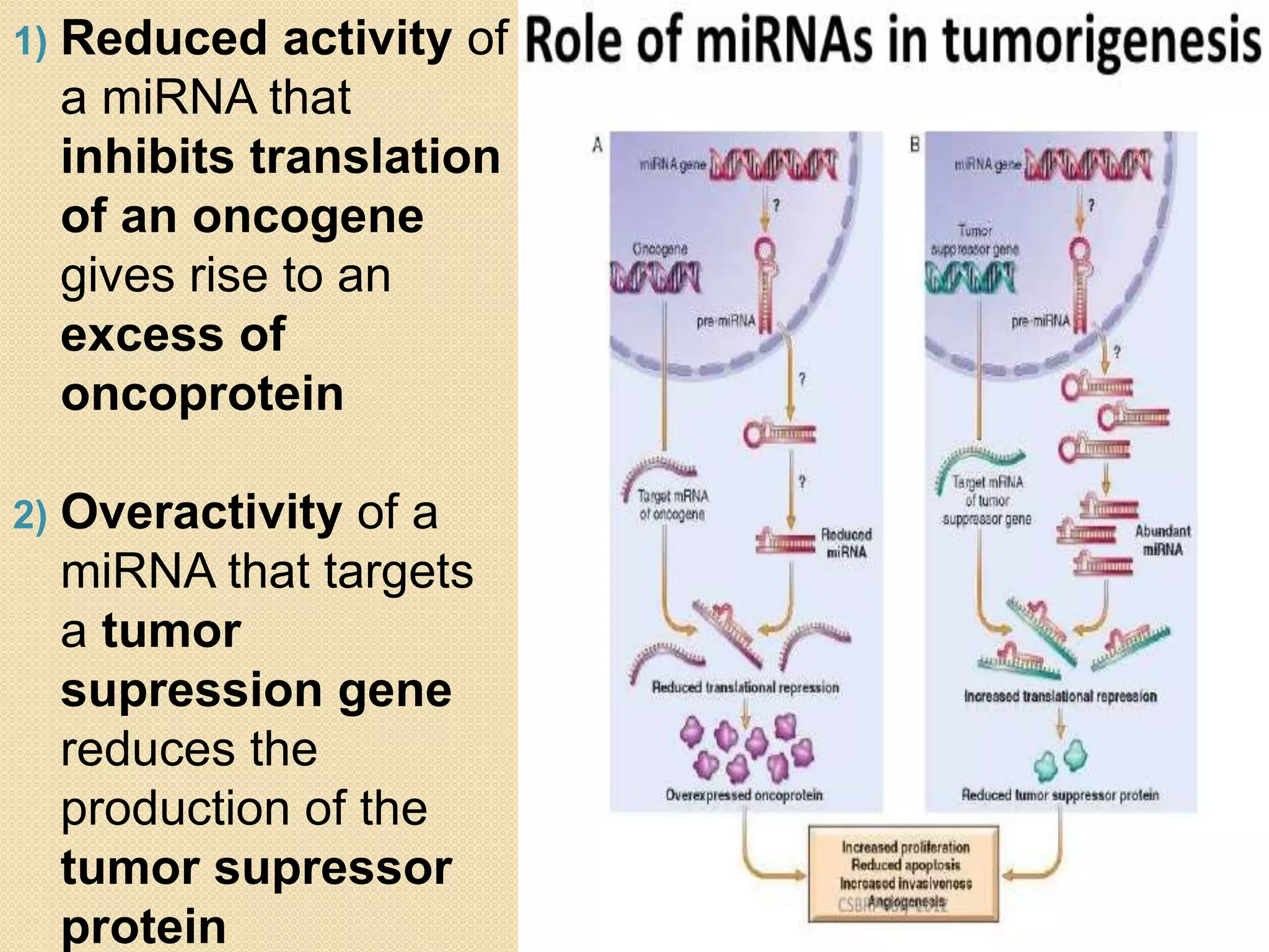 Other Mechanisms of Molecular Pathogenesis of Cancer | PPTX