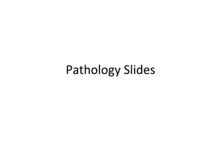 Pathology Slides 