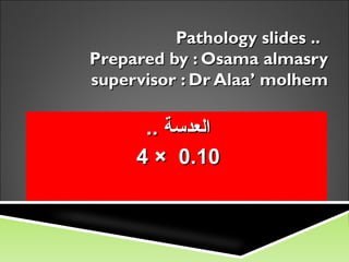Pathology slides ..
Prepared by : Osama almasry
supervisor : Dr Alaa’ molhem

      .. ‫العدسة‬
     4 × 0.10
 