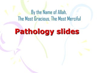 Pathology slides
By the Name of Allah,
The Most Gracious, The Most Merciful
 