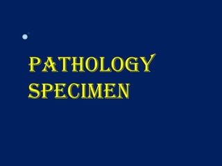 Pathology
Specimen
 