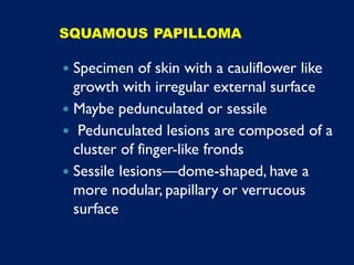 Sessilated Raspberry Like Growth Pathology Specimen for pathology practicals.pdf