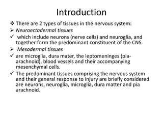 Introduction
 There are 2 types of tissues in the nervous system:
 Neuroectodermal tissues
 which include neurons (nerve cells) and neuroglia, and
together form the predominant constituent of the CNS.
 Mesodermal tissues
 are microglia, dura mater, the leptomeninges (pia-
arachnoid), blood vessels and their accompanying
mesenchymal cells.
 The predominant tissues comprising the nervous system
and their general response to injury are briefly considered
are neurons, neuroglia, microglia, dura matter and pia
arachnoid.
 
