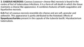 pathology terminologies and definitions.pptx
