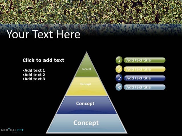 Pathology PPT Templates