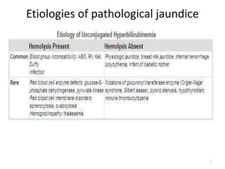 Etiologies of pathological jaundice
1
 