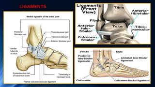 Pathomechanics of Ankle joint | PPTX