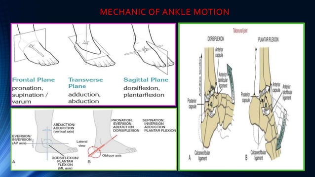 Pathomechanics of Ankle joint | PPTX