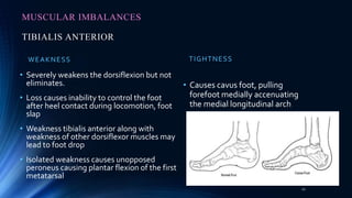 Pathomechanics of Ankle joint | PPT