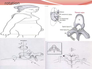 Pathomechanics of thoracic spine disease | PPTX