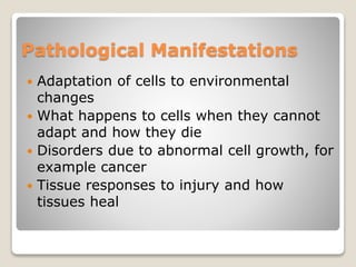 Pathological Manifestations
 Adaptation of cells to environmental
changes
 What happens to cells when they cannot
adapt and how they die
 Disorders due to abnormal cell growth, for
example cancer
 Tissue responses to injury and how
tissues heal
 
