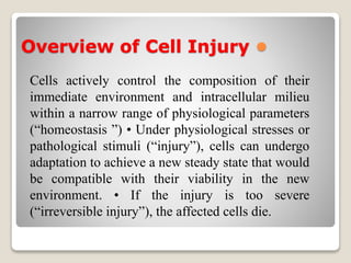 Overview of Cell Injury •
Cells actively control the composition of their
immediate environment and intracellular milieu
within a narrow range of physiological parameters
(“homeostasis ”) • Under physiological stresses or
pathological stimuli (“injury”), cells can undergo
adaptation to achieve a new steady state that would
be compatible with their viability in the new
environment. • If the injury is too severe
(“irreversible injury”), the affected cells die.
 